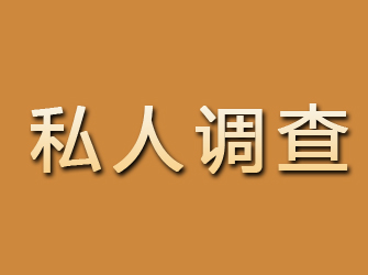 河口私人调查